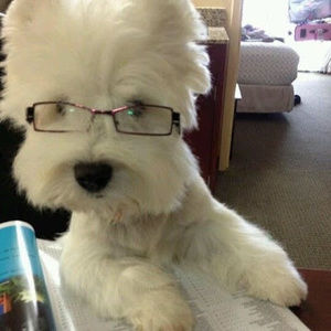 Meet your Posher, Xisuma